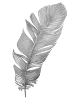 Decorative feather
