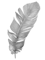 Decorative feather